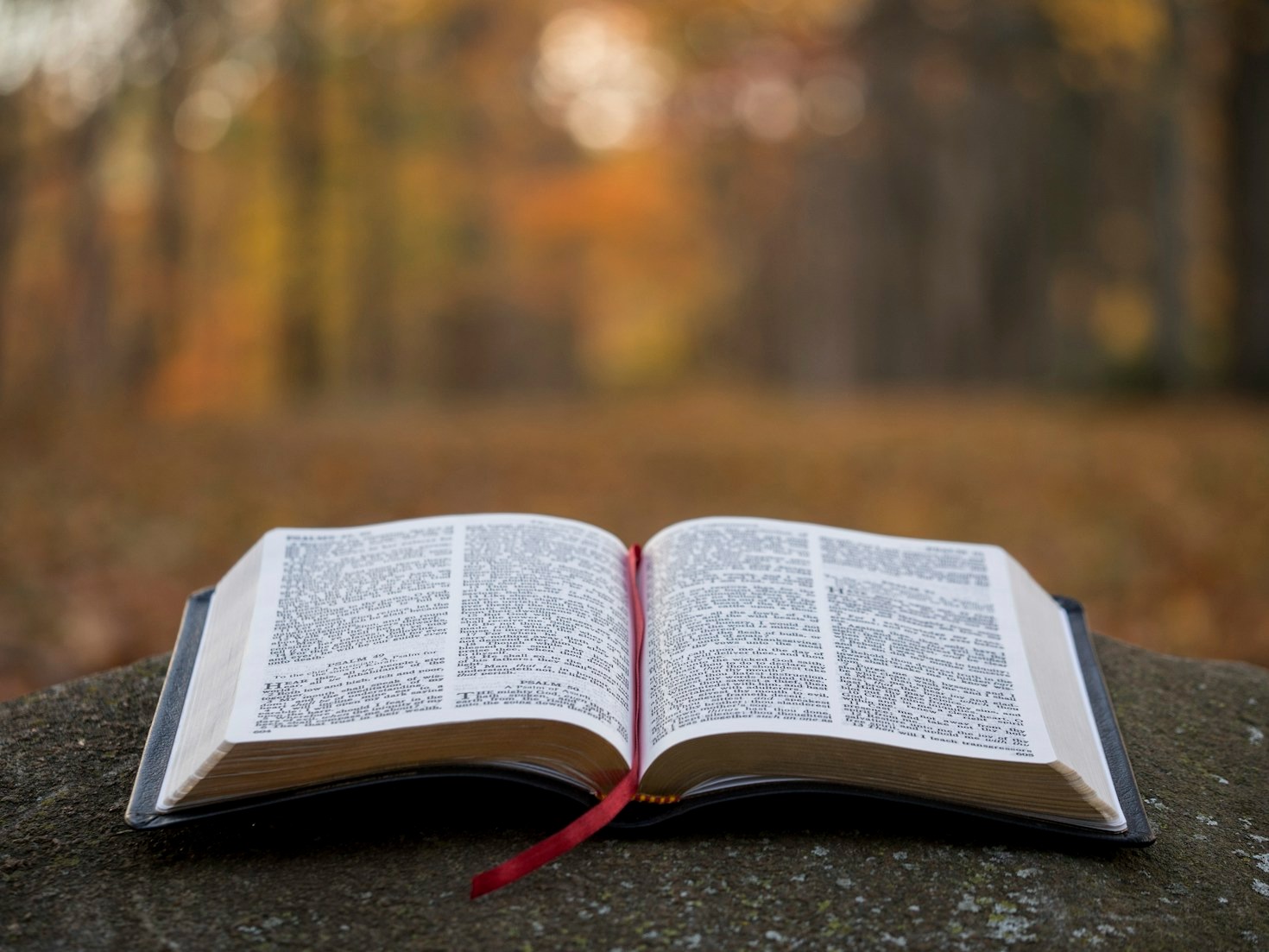 Como Aplicar a Palavra de Deus no Cotidiano